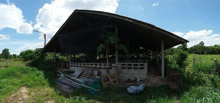ขายบ้านพร้อมอาคารโกดัง 3 ไร่ ผังเมืองสีชมพู แม่ทะ, ลำปาง PSC09728, ภาพที่ 4