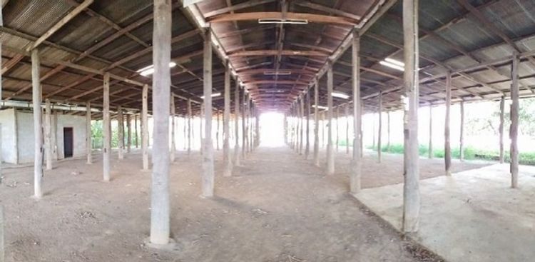 ขายอาคารสำนักงาน โกดังไม้และบ้านพักพนักงาน จ.ลำพูน PSC09633, ภาพที่ 4