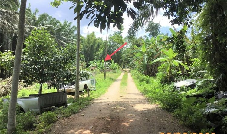 ขายที่ดินว่างเปล่า    อำเภออ่าวลึก กระบี่ (PKK01-11144), ภาพที่ 4