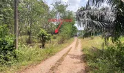 ขายที่ดินว่างเปล่า    อำเภอลำทับ กระบี่ ( PKK01-10952)