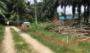 ขายที่ดินว่างเปล่า    อำเภออ่าวลึก กระบี่ (PKK01-11144)