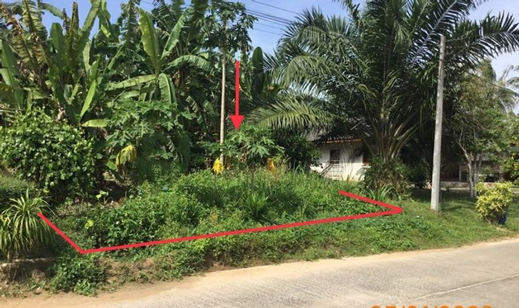 ขายที่ดินว่างเปล่า อำเภอคลองท่อม กระบี่ (PKK01-10078), ภาพที่ 4