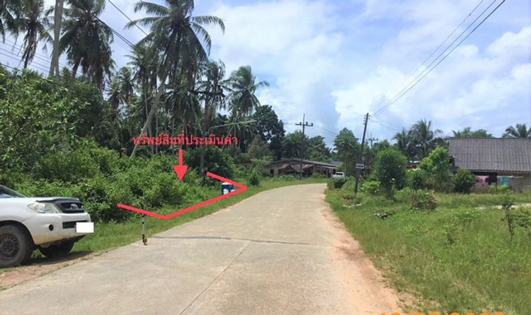 ขายที่ดินว่างเปล่า อำเภอคลองท่อม กระบี่ (PKK01-10585), ภาพที่ 4