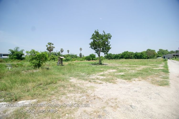 ขาย ที่ดิน ถมแล้ว ซ.บ้านสวน 11 ต.หนองรี อ.เมือง จ.ชลบุรี ถูกมาก, ภาพที่ 4