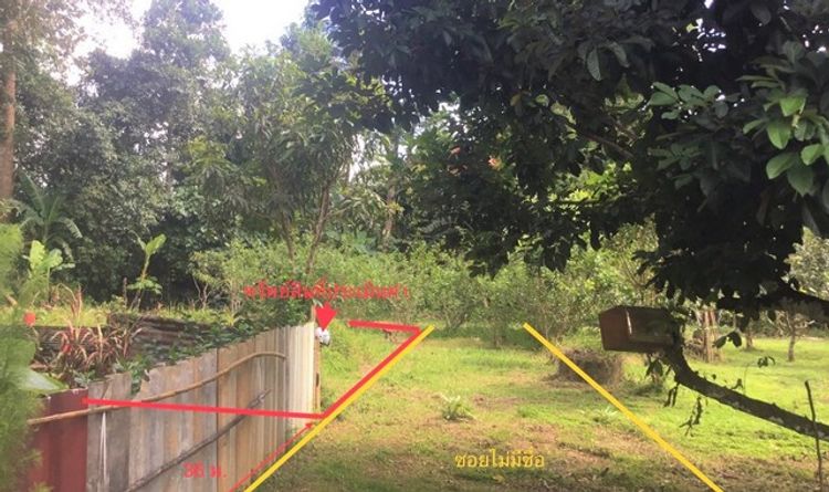 ขายที่ดินว่างเปล่า   อำเภอย่านตาขาว  ตรัง (PKK01-09822), ภาพที่ 4