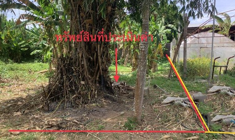 ขายที่ดินว่างเปล่า   อำเภอย่านตาขาว  ตรัง (PKK01-11699), ภาพที่ 4