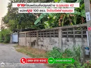 ขายที่ดินพร้อมสิ่งปลูกสร้าง ซ.อุดมสุข 42 เข้าได้ทั้ง แยก 2,3,5 พื้นที่ 100 ตรว. แปลงมุม