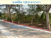 ขายที่ดินเปล่า 128.6 ตรว แปลงสวย ถมแล้ว ใกล้เซ็นทรัลเวสเกต หมู่บ้านชัยพฤกษ์ บางใหญ่ ซอยวัดลาดปลาดุก