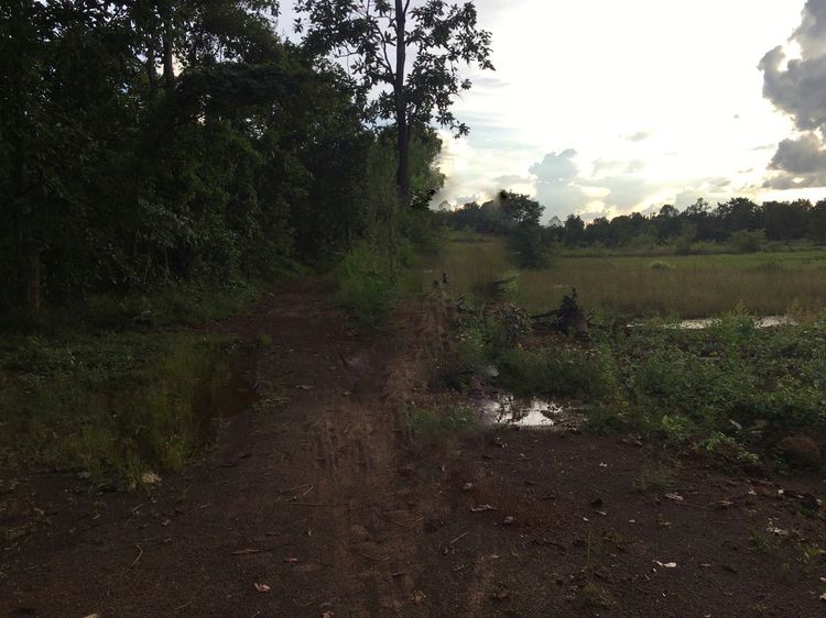 ขาย ที่ดิน ตำบลหนองลาด อำเภอเมืองสกลนคร จังหวัดสกลนคร, ภาพที่ 4