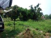 ขาย ที่ดิน ตำบลงิ้วราย อำเภอตะพานหิน จังหวัดพิจิตร
