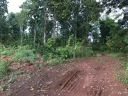 ขาย ที่ดิน ตำบลหนองลาด อำเภอเมืองสกลนคร จังหวัดสกลนคร