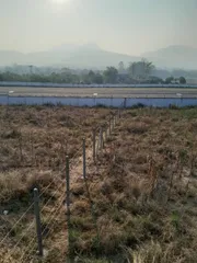 ขายที่ดิน อำเภอปาย จังหวัดแม่ฮ่องสอน ด้านหน้าติดถนน ด้านหลังติดสนามบิน