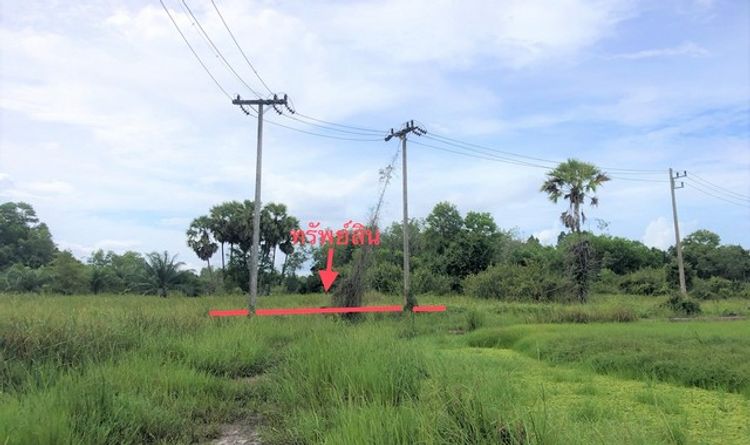 ขายที่ดินว่างเปล่า  อำเภอเมืองสงขลา สงขลา (PKK01-11374), ภาพที่ 4