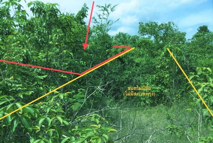 ขายที่ดินว่างเปล่า  อำเภอรัตภูมิ สงขลา (PKK01-11436), ภาพที่ 4
