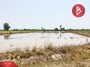 ขายที่ดินเปล่า เนื้อที่ 6 ไร่ ตะพานหิน พิจิตร ติดถนนใหญ่ เดินทางสะดวก