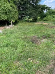 ขายด่วน ที่ดินเจ้าของขายเองราคาถูก ติดถนนลาดยาง จังหวัดพะเยา
