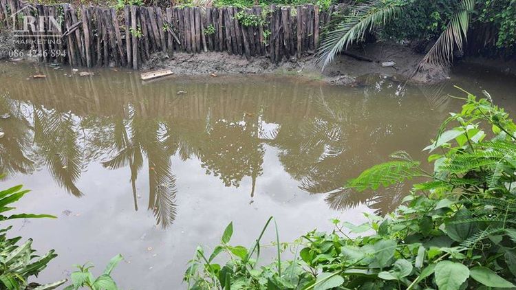 L828 ขายที่ดินเปล่า ติดคลองติดถนน 2 ไร่ พระประแดง ซอยเพชรหึงษ์20, ภาพที่ 4