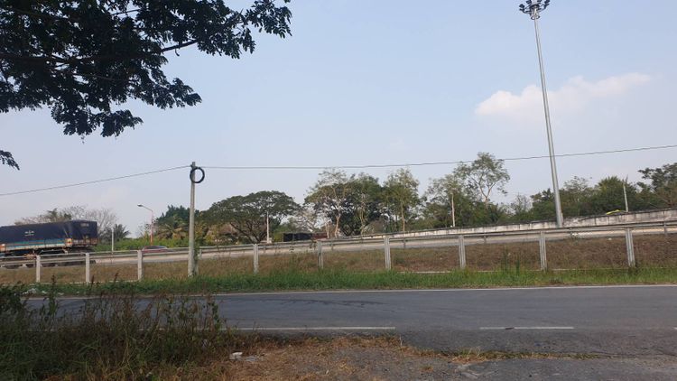 ขายที่ดิน  ไ ร่ คลอง4 ปทุมธานี ใกล้ทางด่วนพิเศษหมายเลข9, ภาพที่ 4