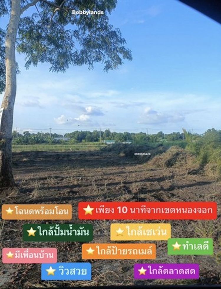 ขายที่ดินเปล่า เนื้อที่ 100 ตารางวา หนองจอก บางน้ำเปรี้ยว คลอง 12, ภาพที่ 4