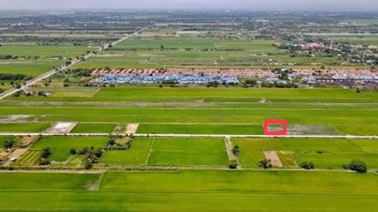 ขาย ที่ดิน 
~ TP - V 0083
~ คลอง 5 คลองหลวง ปทุมธานี 1 งาน, ภาพที่ 4