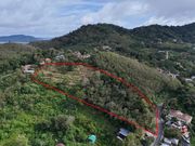 ขาย ที่ดินวิวทะเล ตำบลกะรน อำเภอเมืองภูเก็ต จังหวัดภูเก็ต