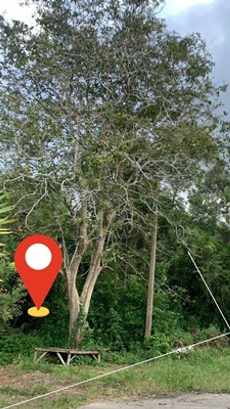ขาย ที่ดิน ตำบลทุ่งสุขลา อำเภอศรีราชา จังหวัดชลบุรี, ภาพที่ 4