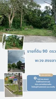 ขาย ที่ดิน ตำบลทุ่งสุขลา อำเภอศรีราชา จังหวัดชลบุรี