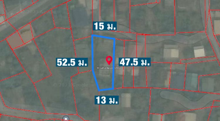 ขาย ที่ดิน 198 ตร.วา พร้อมอาคารพักอาศัย 2.5 ชั้น ต.นางลือ ชัยนาท, ภาพที่ 4