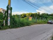 ขาย/เช่า ที่ดินสวยถมแล้ว  202   ตร.วา แปลงมุม  ซ.แบริ่ง 39 ถ. สุขุมวิท107   เข้าซอยเพียง 50 เมตร   ZT275 