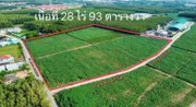 ขาย ที่ดินเปล่า ตำบลมาบข่า อำเภอนิคมพัฒนา จังหวัดระยอง