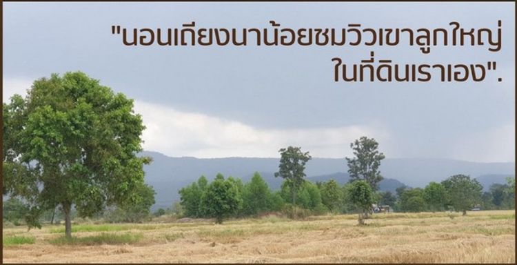 ขายที่ดินแบ่งแปลง เริ่ม 1ไร่ 195,000บาท ฟรีโอน ถนนหิน ต.นิยมชัย, ภาพที่ 4