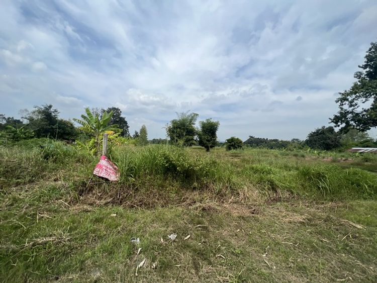  ขายที่ดิน อำเภอเมืองหนองบัวลำภู จังหวัดหนองบัวลำภู ขนาด 2 ไร่ 3งานที่, ภาพที่ 4