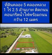 TD541  ขายที่ดินแปลงงาม       :            ปทุมธานี