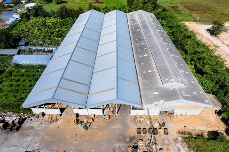 ขายด่วน โรงงานไม้พาเลท และไม้แปรรูป  ตำบลหนองปลาไหล อำเภอเมืองสระบุรี, ภาพที่ 4