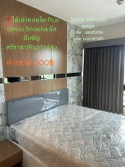 #ให้เช่าคอนโดPlus condo Sriracha อัสสัมชัญศรีราชา ห้องกั้นแบ่งสัดส่วน ขนาด 33 ตรม (Rich1144 ) 