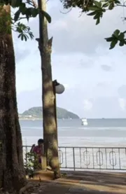 ขายที่ดินseaviewติดทะเลฉลองภูเก็ตLand for sale, seaview next to the sea, Chalong Bay,Phuket.