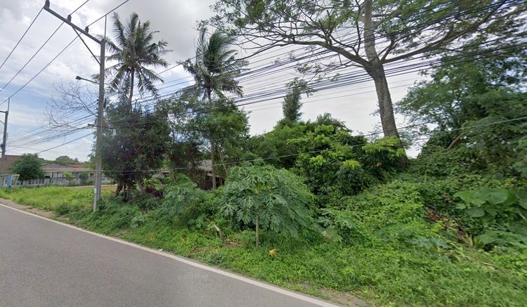 ขาย ที่ดิน มะขามเตี้ย เมือง สุราษฎร์ธานี ติดถนน เดินทางสะดวก, ภาพที่ 4