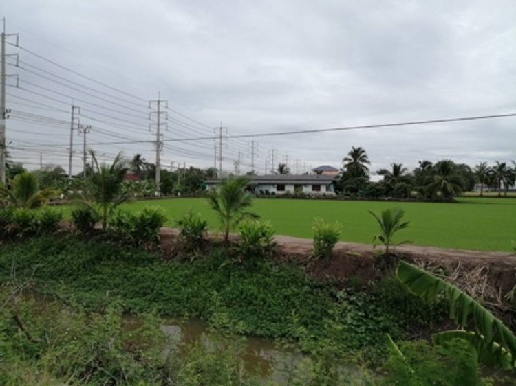 ขาย  ที่ดิน 11-0-72 ไร่  ติด อบต.คลองขวาง ที่ดิน หน้ากว้าง 60 เมตร, ภาพที่ 4