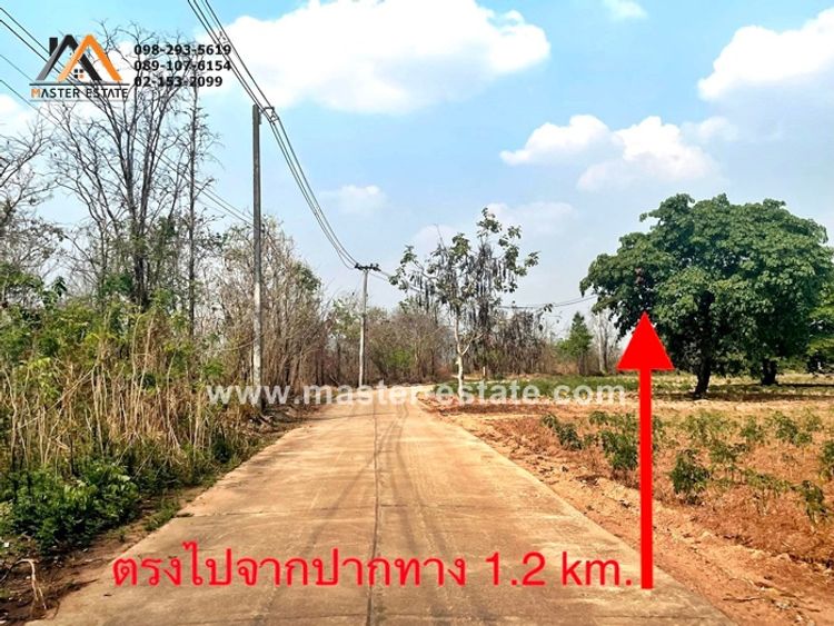 ที่ดิน จ.ตาก 44-2-52 ไร่ ติดถนนสาธารณะทั้ง 2 ด้าน อยู่ม.น้ำด้วน 1 กม. 1, ภาพที่ 4