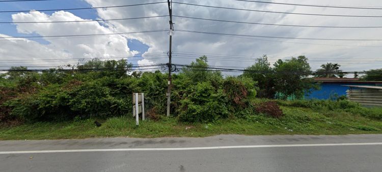 ขาย ที่ดิน ตำบลลำภู อำเภอเมืองนราธิวาส จังหวัดนราธิวาส, ภาพที่ 4