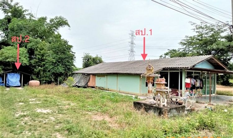 ขายบ้านเดี่ยวใกล้ โรงพยาบาลท่าโรงช้าง อำเภอพุนพิน จังหวัดสุราษฎร์ธานี, ภาพที่ 4