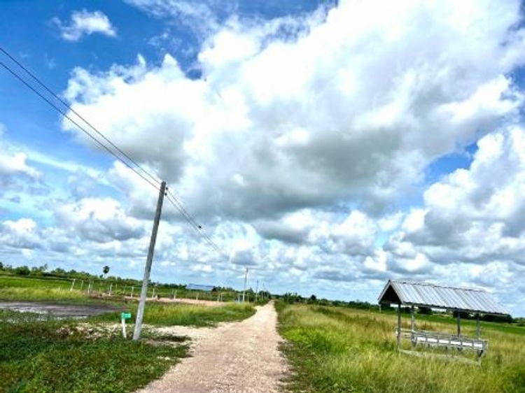ขาย ที่ดิน ~ TP-PV 0002
~ บ้านนา โครงการ 1

~ อยู่กับธรรมชาติ 1 ไร่, ภาพที่ 4