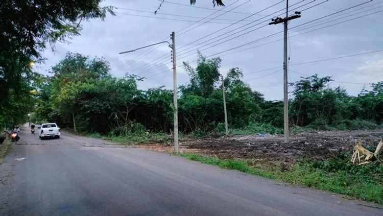 ที่ดินใกล้จุดเช็คอินคลอง11 หนองเสือ ปทุมธานี 2ไร่ฟรี 5 ตรว., ภาพที่ 4