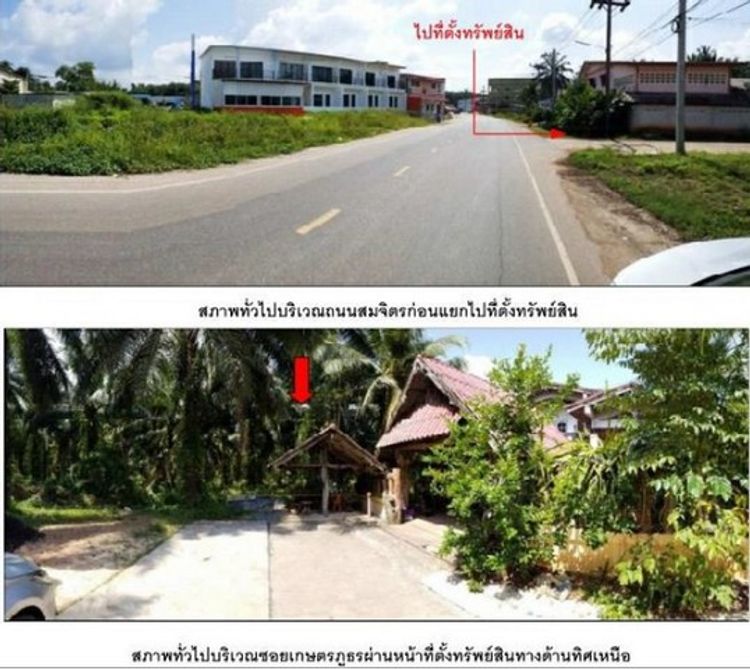 ขายที่ดินว่างเปล่าใกล้ตลาดนัดเกตุ มงคล(โกไข่) อ.ขาพนม จ.กระบี่ PSC10145, ภาพที่ 4