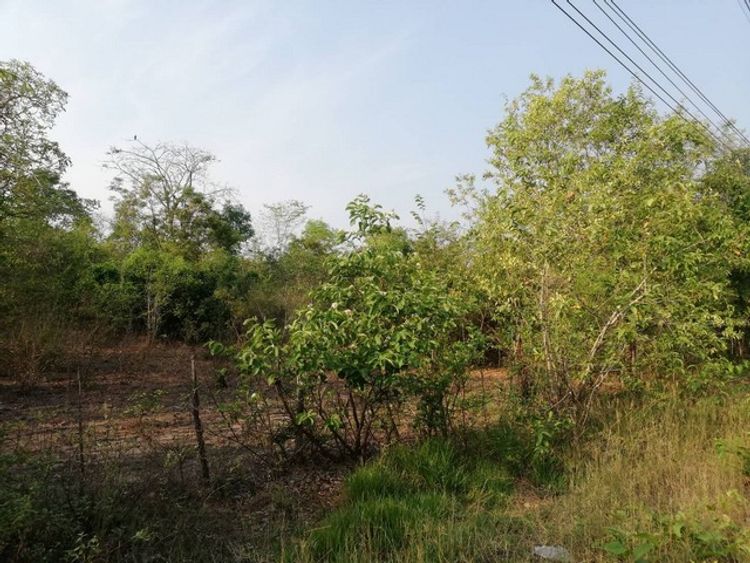 ขายที่ดินในตัวเมืองบ้านตาก จังหวัดตาก แบ่งขายเป็นไร่ๆ 400000 บาท 36  , ภาพที่ 4