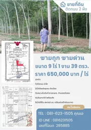 ถูกที่สุดในย่านนี้!! ที่ดินพร้อมต้นยาง 6 ปี ทำเลทอง ติดถนนคอนกรีต 2 ฝั่ง อ.หาดใหญ่ จ.สงขลา  ใกล้ถนนเอเชีย 1กม.