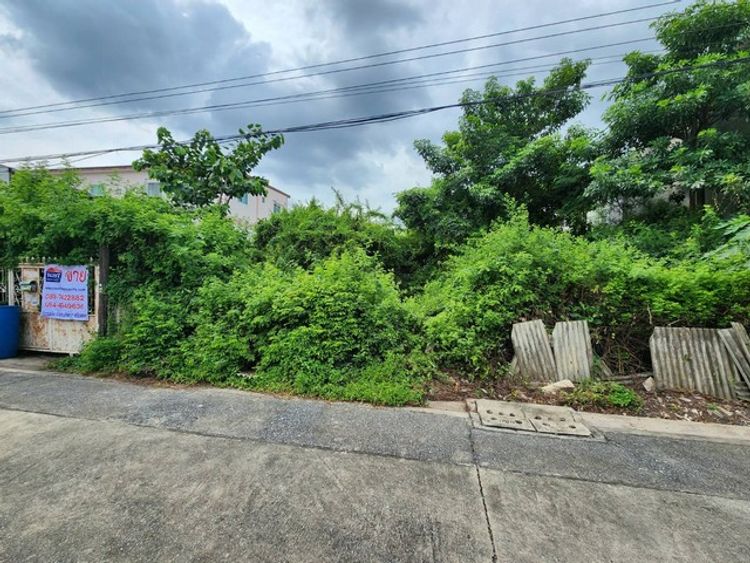 ขายด่วน  ที่ดิน พหลโยธิน 58 แยก 53 พื้นที่ 50 ตรว. , ภาพที่ 4