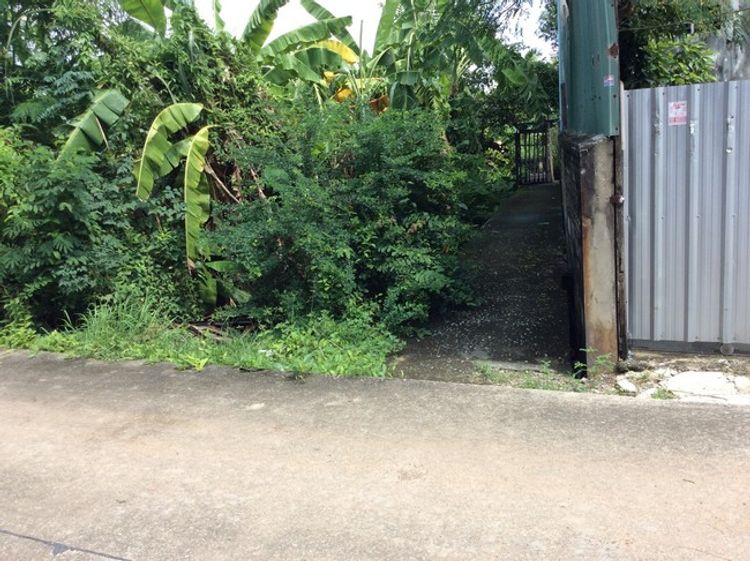 sss433 ขาย ที่ดินเปล่า  เพชรหึงษ์ พระประแดง สมุทรปราการ , ภาพที่ 4