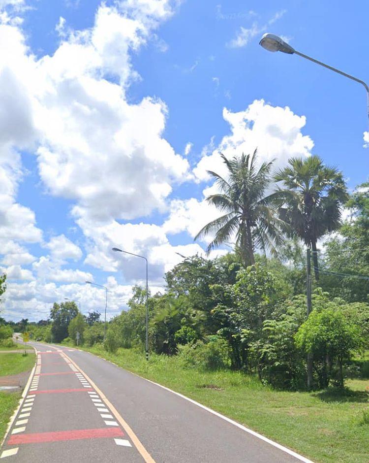 ขาย ที่ดิน ตำบลกุดเชียงหมี อำเภอเลิงนกทา จังหวัดยโสธร, ภาพที่ 4