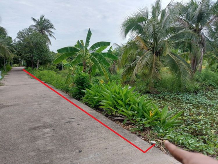 ขายที่ดิน 1-3-0 ไร่ บรรยากาศดี เงียบสงบ ใกล้แหล่งชุมชม, ภาพที่ 4